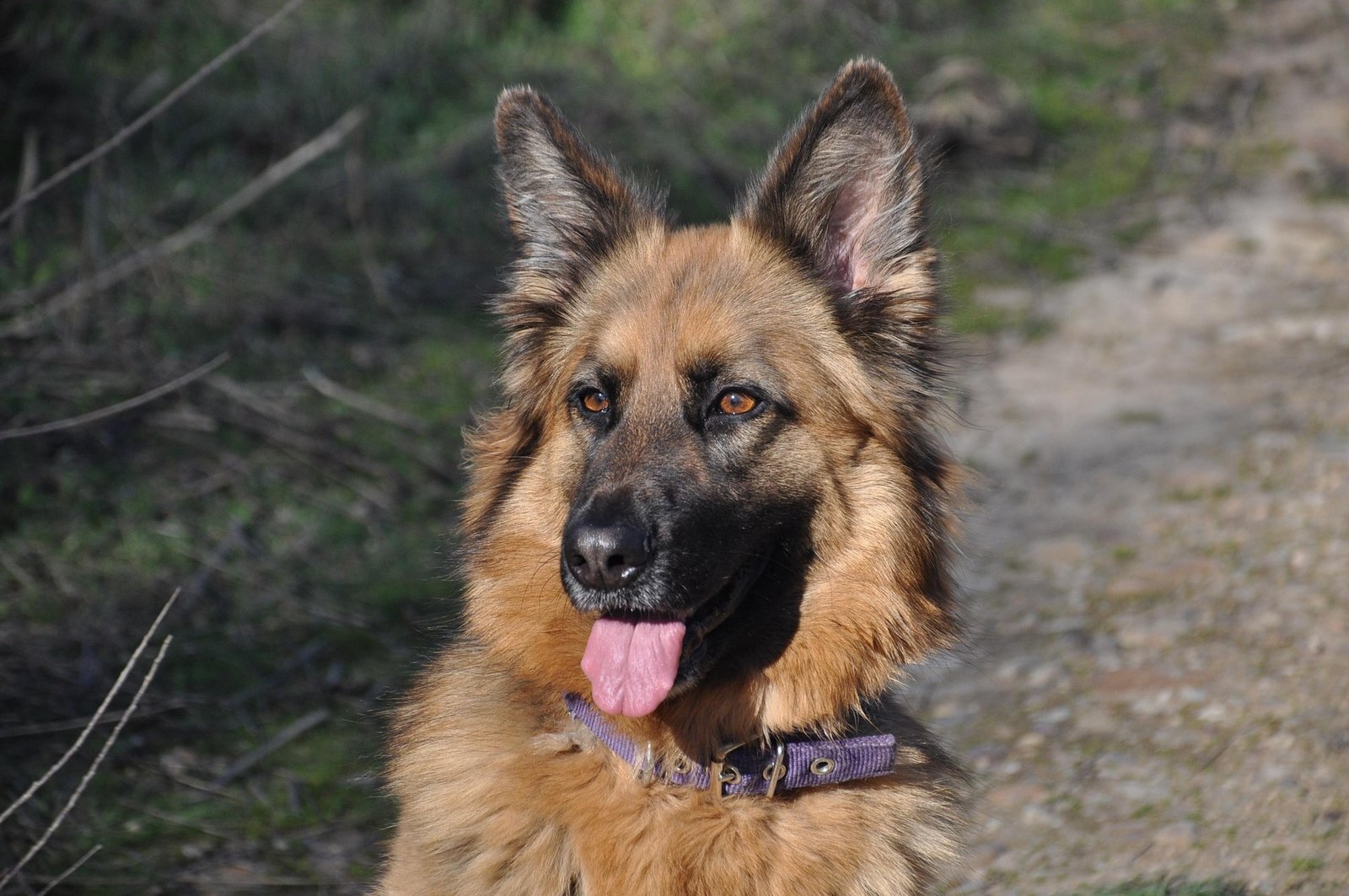 Luna
